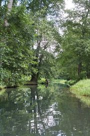 Idyllischer Fluss im Spreewald mit Spiegelungen im klaren Wasser