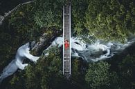 Brug over stromend water Vrouw met rode jurk van Daniel Kogler thumbnail