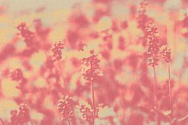 Lavendelveld in zachte pasteltinten. Moderne abstracte botanische kunst van Dina Dankers