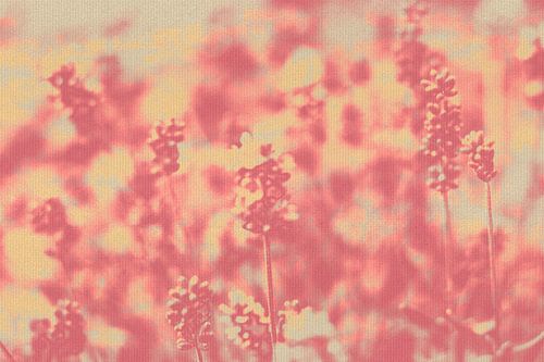 Lavendelveld in zachte pasteltinten. Moderne abstracte botanische kunst