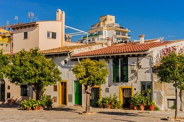 Mediterrane oude stad van Palma de Majorca, Spanje van Alex Winter