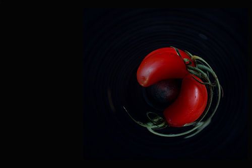 Rotierende Tomaten