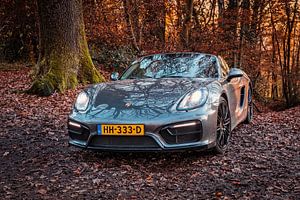 Porsche Boxster GTS Typ 981