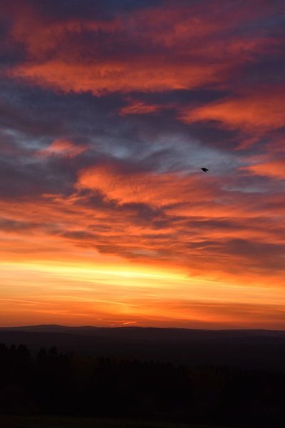 The dawn of an autumn morning by Claude Laprise