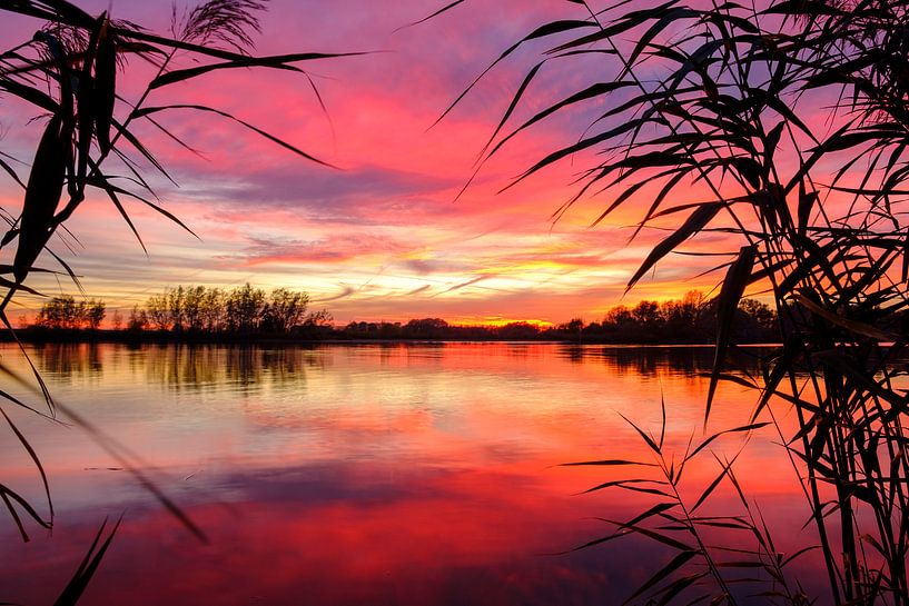 Coucher de soleil majestueux sur la rivière IJssel lors d'une belle soirée d'automne à Overijssel par Sjoerd van der Wal Photographie