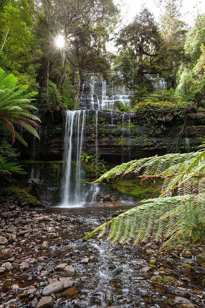 Russell Falls at sunset - majestic waterfall in the Tasmanian rainforest by Jiri Viehmann