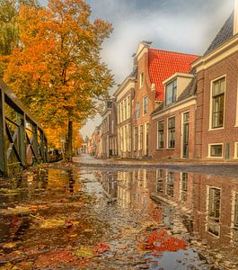 Herfst waterplas in Bolsward met herfst kleuren van Claudia De Vries