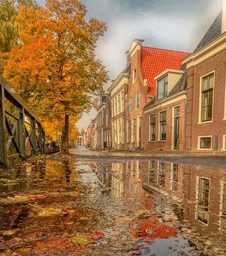 Herbstteich in Bolsward mit Herbstfarben von Claudia De Vries