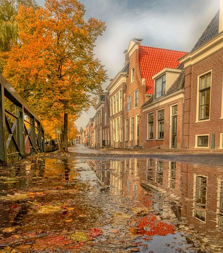 Herfst waterplas in Bolsward met herfst kleuren van Claudia De Vries