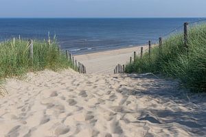 Chemin à travers les dunes