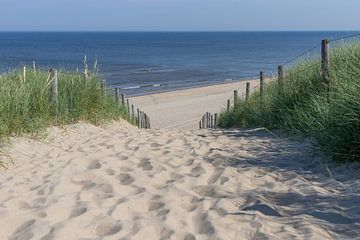 Pad door de duinen van Yanuschka Fotografie | Noordwijk