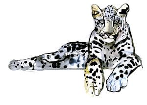 Arabische luipaard van Mark Adlington
