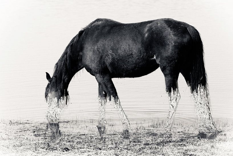 Cold feet van Art by Jeronimo