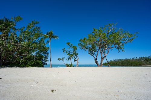 USA, Floride, Plage de sable blanc et eau turquoise de florida keys