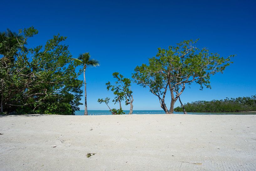 USA, Florida, White sand beach and turquoise water of florida keys by adventure-photos