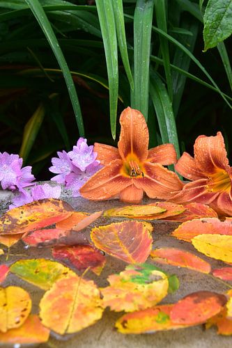 Een boeket bloemen in de tuin
