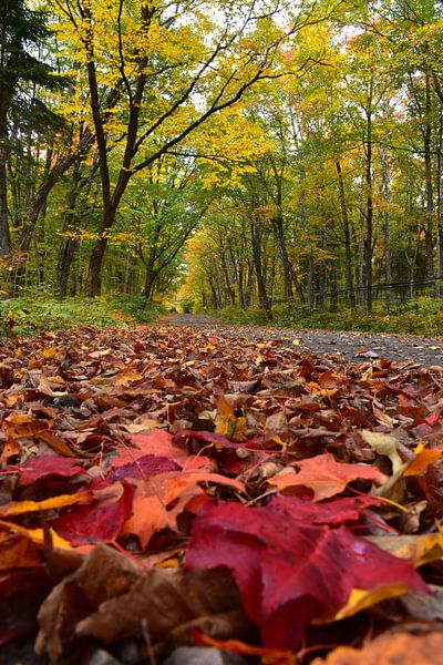 A country road in autumn by Claude Laprise