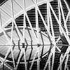 Ciutat de les Arts i les Ciències - Valencia von Rob van der Wal