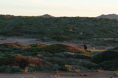 Vaarwel Menorca
