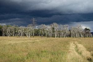 A threatening thunderstorm is coming up above the High Fens van wunderbare Erde