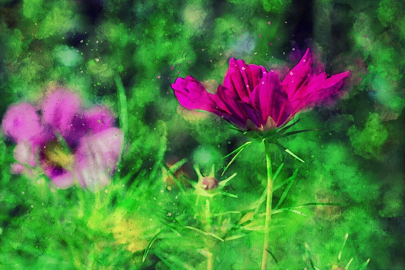 Gartenblümchen in knallig Pink von Petra Dreiling-Schewe