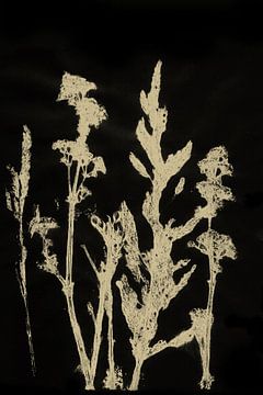 Moderne Botanische kunst. Plant in neutraal kleurenpalet nr. 3 van Dina Dankers