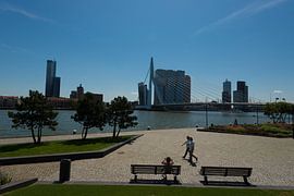 ErasmusBrug Rotterdam by Brian Morgan