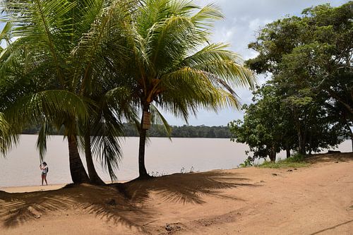 Volledig in de natuur