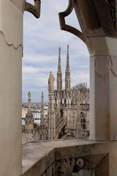 View from the cathedral of Milan by Jefra Creations