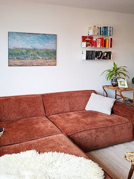 Klantfoto: Vincent van Gogh, Korenveld met patrijs