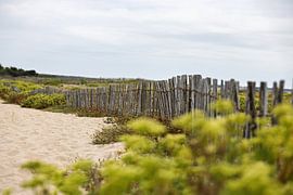 Holzzaun und Strandgewächse am Strand von Guerande in der Bretagne im Sommer von Andreas Freund