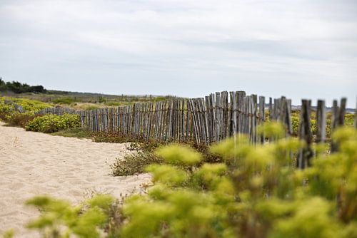 Une clôture en bois et des plantes de bord de mer sur la plage de Guérande, en Bretagne, en été
