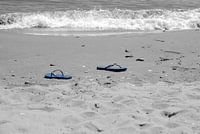 blue slippers
