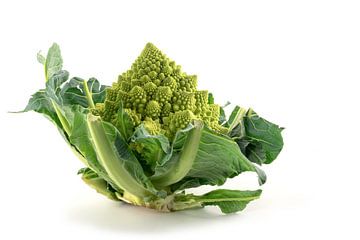 Romanesco broccoli of Romeinse bloemkool geïsoleerd op een witte achtergrond, groene groente, biolog van Maren Winter