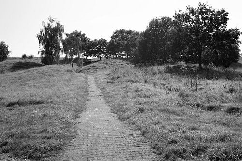 Ontdek de natuur in een bosrijk gebied in Emsland, Nedersaksen, Duitsland