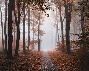 Uitnodiging tot liefde van Tvurk Photography