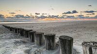 Ameland posts at sunset