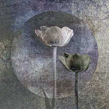 Tulpen. Zilver en blauw. van Alie Ekkelenkamp