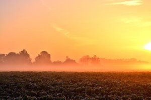 Mistige zonsopkomst van Melanie Weeda