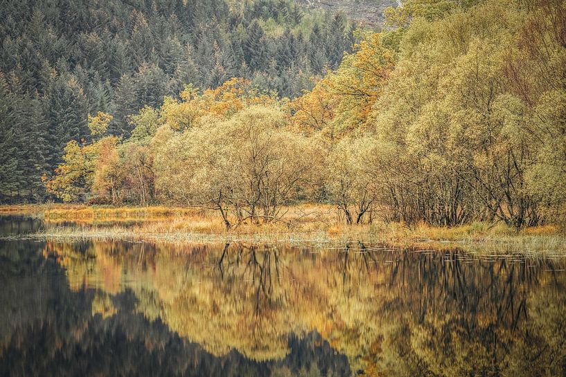 Loch Chon - een herfstzicht van Ben De Winter