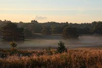 Nevel over de heide