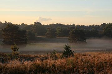 Nevel over de heide van Hans van Otterloo