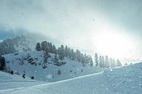Glinsterende sneeuw