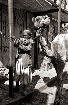 Old Man Camel - analoge fotografie! van Tom River Art