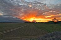 Sunset in the countryside in Costa Rica by Steph auf Tour thumbnail