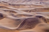 Zandduinen Swakopmund van Cor de Bruijn thumbnail