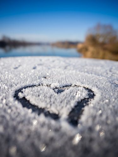 Een teder hart in de adem van de winter