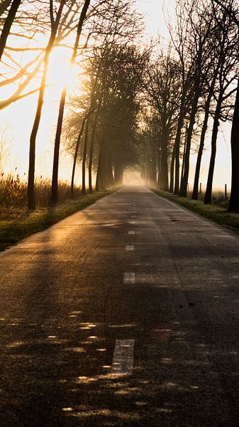 Vers nulle part par Tim Briers