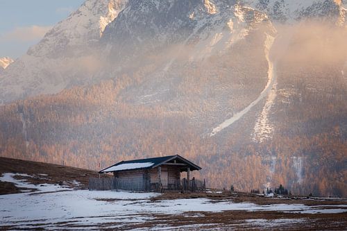 Berghutje in de Moos bij Lermoos