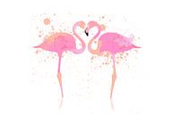 Flamingos van Felix Brönnimann thumbnail